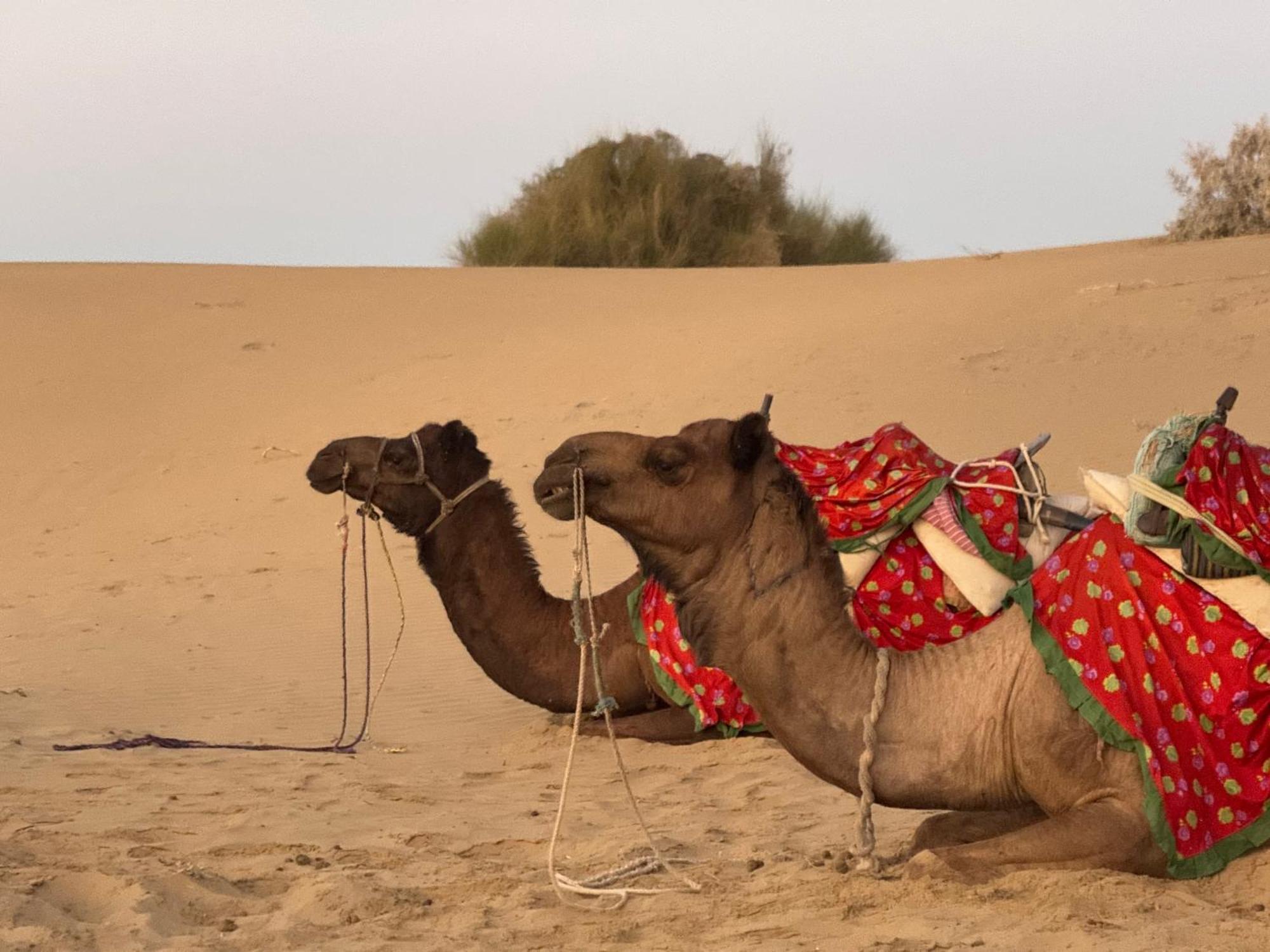 Desert Vista Camp Jaisalmer Luaran gambar
